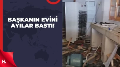 Belediye Başkanının Yayla Evine Ayı Baskını