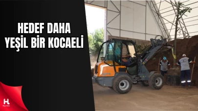 Başiskele Kavşağı Koridor Projesi’nde Ağaçlar Koruma Altında
