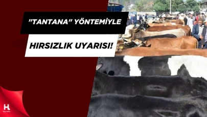 Kurban Pazarında Sahte Para ve Dolandırıcılık Alarmı!