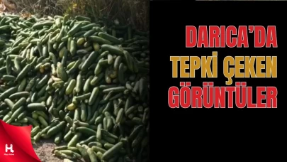 Darıca’da Yola Atılan Salatalıklar Tepki Topladı
