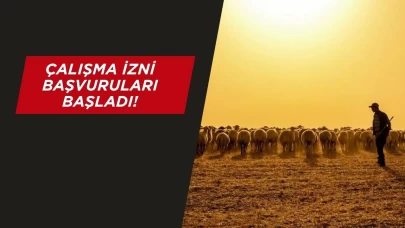 Hayvancılığa "yabancı çoban" Desteği!