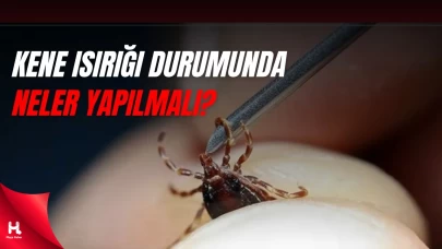 Kene Isırığına Karşı Acil Adımlar: Keneden Korunmanın Etkili Yolları