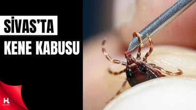 Sivas’ta Kene Kabusu: Bir Ay Direndi, Kurtarılamadı