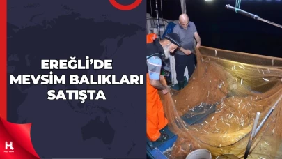 Karamürsel Ereğli Balık Hali’nde Hareketlilik Sürüyor