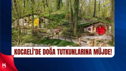 Ormanya ve Kuzuyayla'da Ücretsiz Programlar Başlıyor