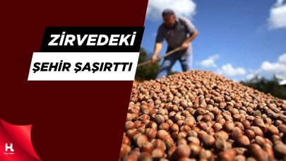 Türkiye’nin En Çok Fındık Üreten Şehri Belli Oldu