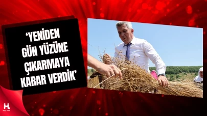 Kandıra Belediyesi, Keten Tarımını Yeniden Başlattı
