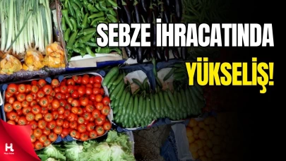 Sebze Yükseldi, Meyve Geri Düştü