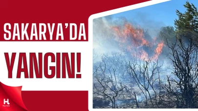 Orman Yangını Sakarya'da 2 Mahalleyi Tahliye Etti, Bilecik Tehlikede!