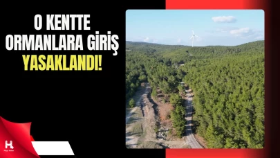 Valilikten Orman Girişlerine Kısıtlama