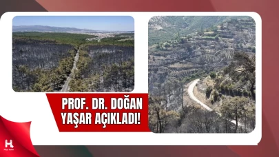 İzmir'de Orman Yangınlarında Yanan Alan Rekor Kırdı!