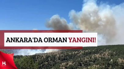 ODTÜ Yakınlarında Dumanlar Yükseldi