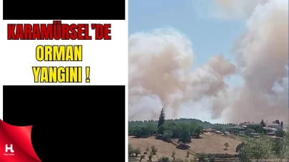 Kocaeli’de Orman Yangınına Havadan ve Karadan Müdahale