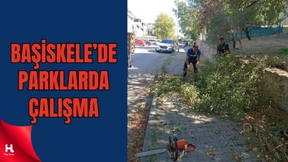 Başiskele’de Ağaç Budama ve Bakım Çalışmaları Sürüyor