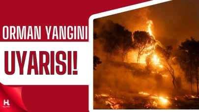 Orman Yangını Uyarısı: Risk Çok Yüksek