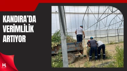 Kandıra Belediyesi Seracılıkla Üretime Güç Katıyor