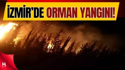 İzmir’de Orman Yangınına Havadan ve Karadan Müdahale