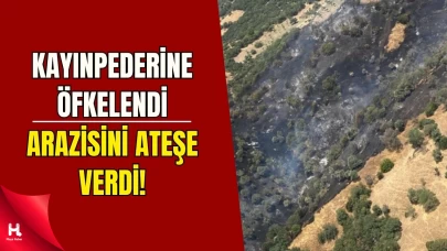 Aydın’da Yangın Skandalı: 3 Hektarlık Alan Kül Oldu