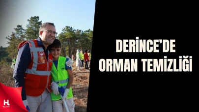Derince’de Ormanlar Yangınlara Karşı Temizlendi