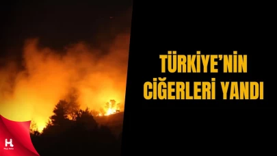 Bu Hafta Sonu Türkiye'nin Ciğerleri Yandı