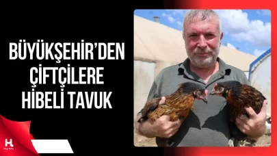 Kocaeli’de Çiftçilere Yüzde 50 Hibeli 16 Bin Tavuk Desteği