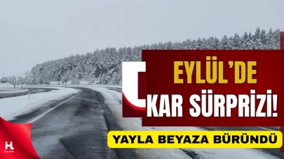 Soğuk Hava Doğu’yu Etkisi Altına Aldı