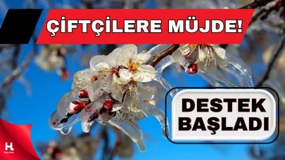 2025 Zirai Donu Mağduru Üreticilere Ödeme Yapılacak