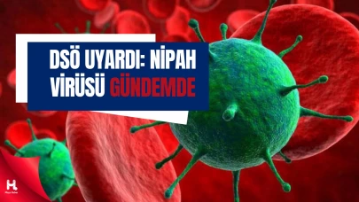 Nipah Virüsü Yeniden Gündemde: Türkiye Risk Altında mı?