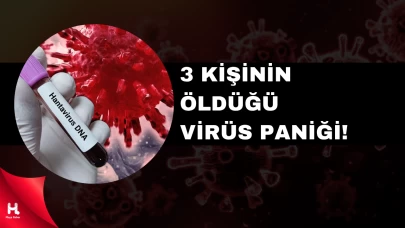 ABD’de Gemide Hantavirüs Alarmı: Belirtileri Merak Ediliyor