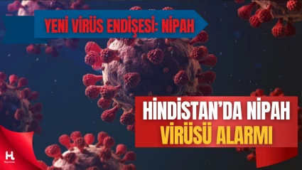 Koronavirüsten Sonra Nipah Alarmı: Hindistan’da Görüldü