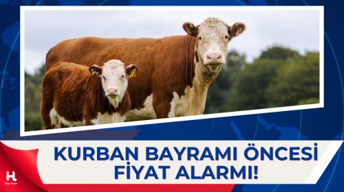 2026 Kurbanlık Fiyatları Belli Oluyor: Büyükbaş ve Küçükbaşta Son Durum