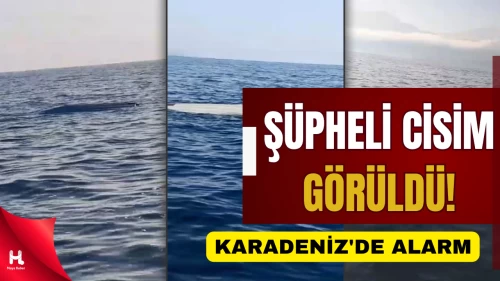 Karadeniz'de alarm: Artvin açıklarında da görüldü!
