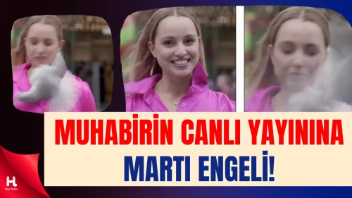 Kadın Muhabir Canlı Yayında Martı Saldırısına Uğradı