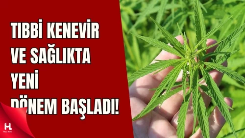 Tıbbi Kenevirin Eczanelerde Satışı Zorunlu, Tedarik Zinciri İzleniyor