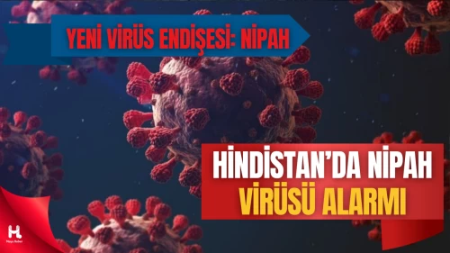 Koronavirüsten Sonra Nipah Alarmı: Hindistan’da Görüldü