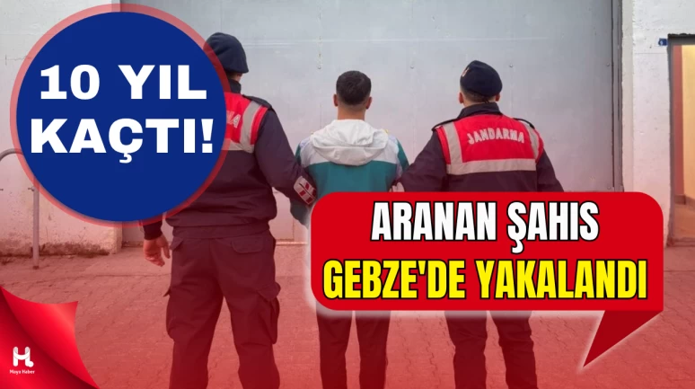 Gebze’de 10 Yıl Hapis Cezalı Şahıs Jandarmadan Kaçamadı