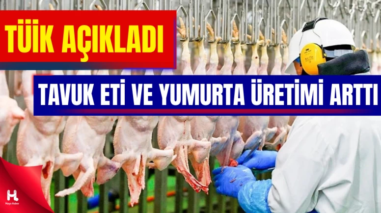 TÜİK Açıkladı: Aralık’ta Tavuk Eti ve Yumurta Üretimi Arttı