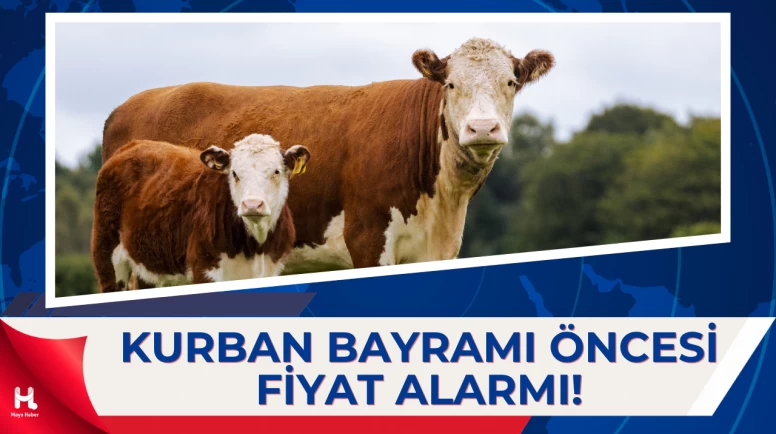 2026 Kurbanlık Fiyatları Belli Oluyor: Büyükbaş ve Küçükbaşta Son Durum