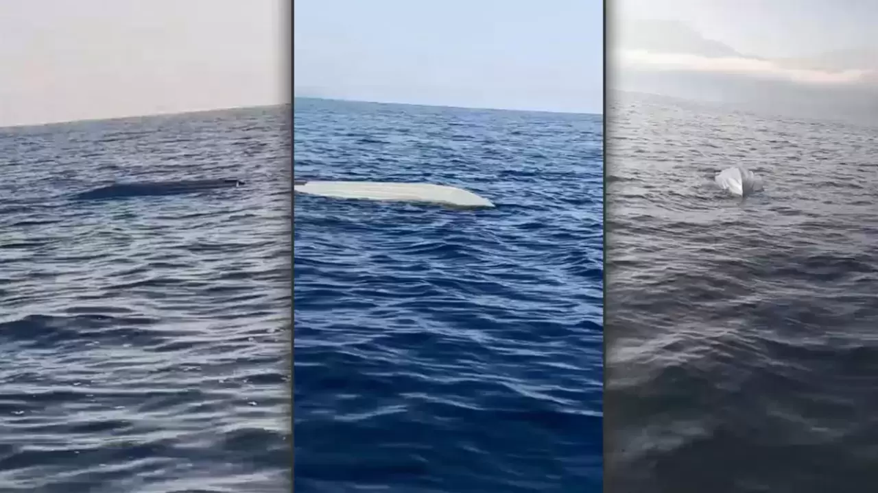 Karadeniz'de alarm.. Önce Trabzon şimdi de Artvin açıklarında görüldü!