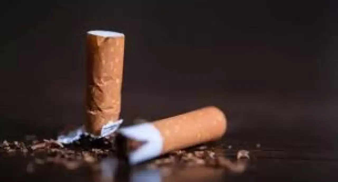 Tütün ekimi sona ermeli | SONSÖZ MERSİN