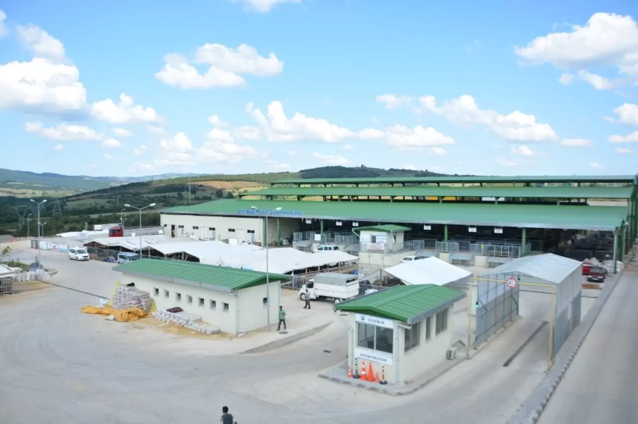 İzmit modern hayvan pazarı Kurban Bayramı’na hazır