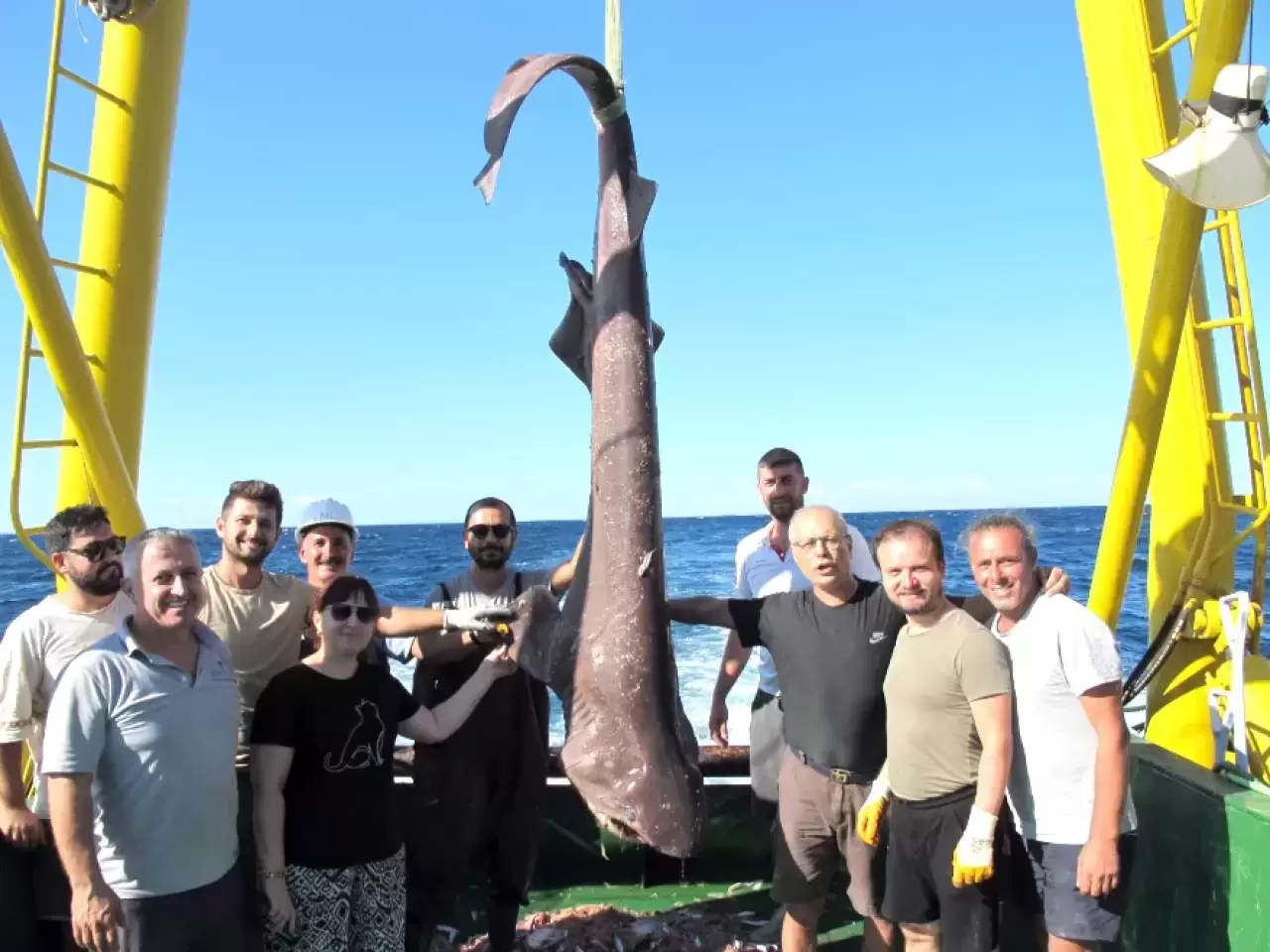 Marmara Denizi'nde köpek balığı popülasyonu azaldı haberi. Son Dakika  İstanbul haber başlıkları ve gelişmeler - Edirne Son Haber