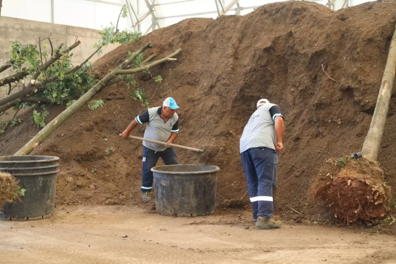 Hedef daha yeşil bir Kocaeli