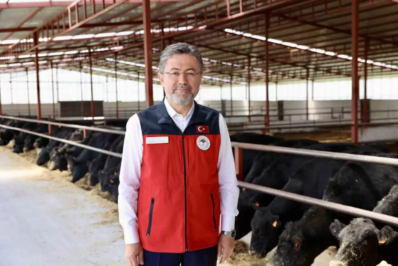 Bakan Yumaklı, Kurban Bayramı'nda 830 bin büyükbaş ve 2,5 milyon küçükbaş  hayvan kesildiğini açıkladı - TV42 Haber