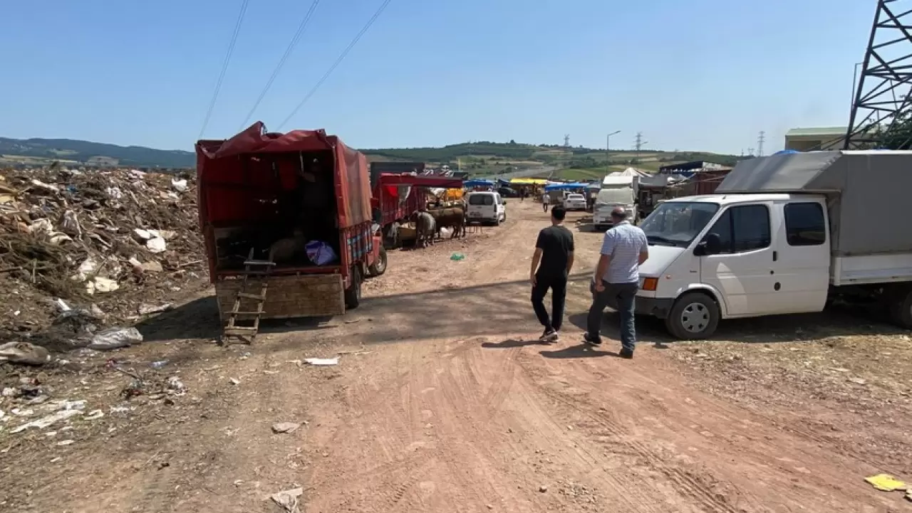 Bu şehre yakışmıyor: İzmit'te çöplük içinde kurban satışı!