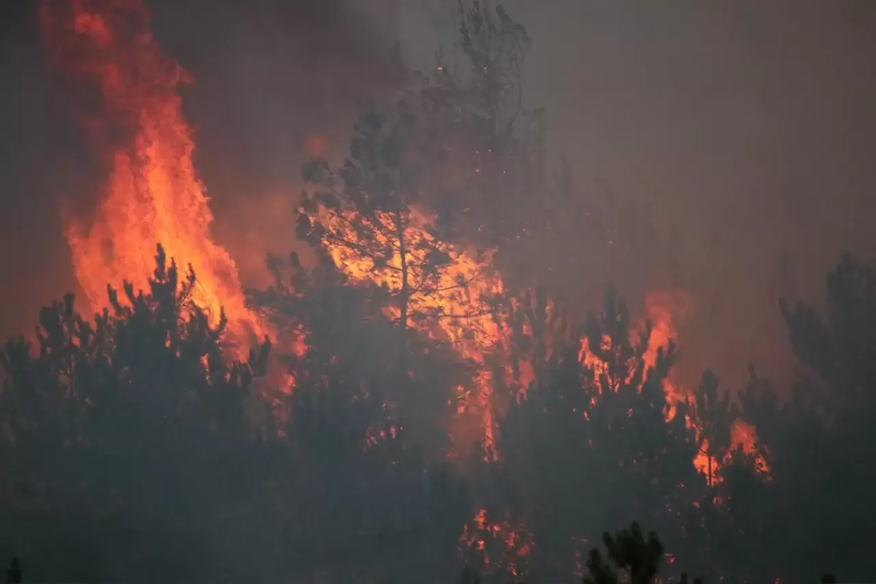 Karabük'te orman yangını 4. gününde şiddetlendi! Köyler bir bir boşaltılıyor