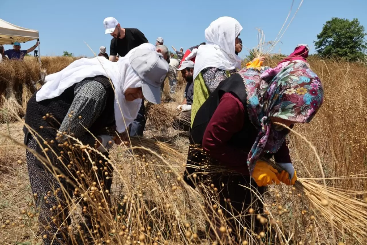 Başkan Ölmez ''Keten Bitkisini Yeniden Gün Yüzüne Çıkarmaya Karar Verdik'