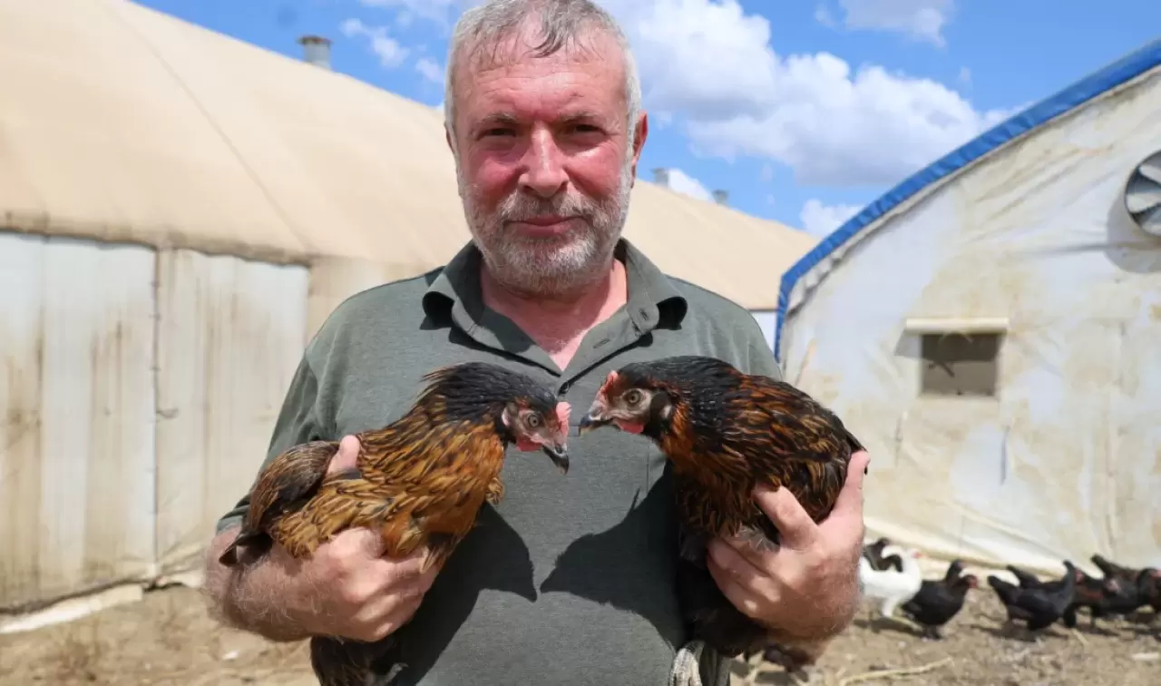 Kocaeli'de kırsal kalkınmayı desteklemek amacıyla hayata geçirilen "Doğal Salma Yumurta