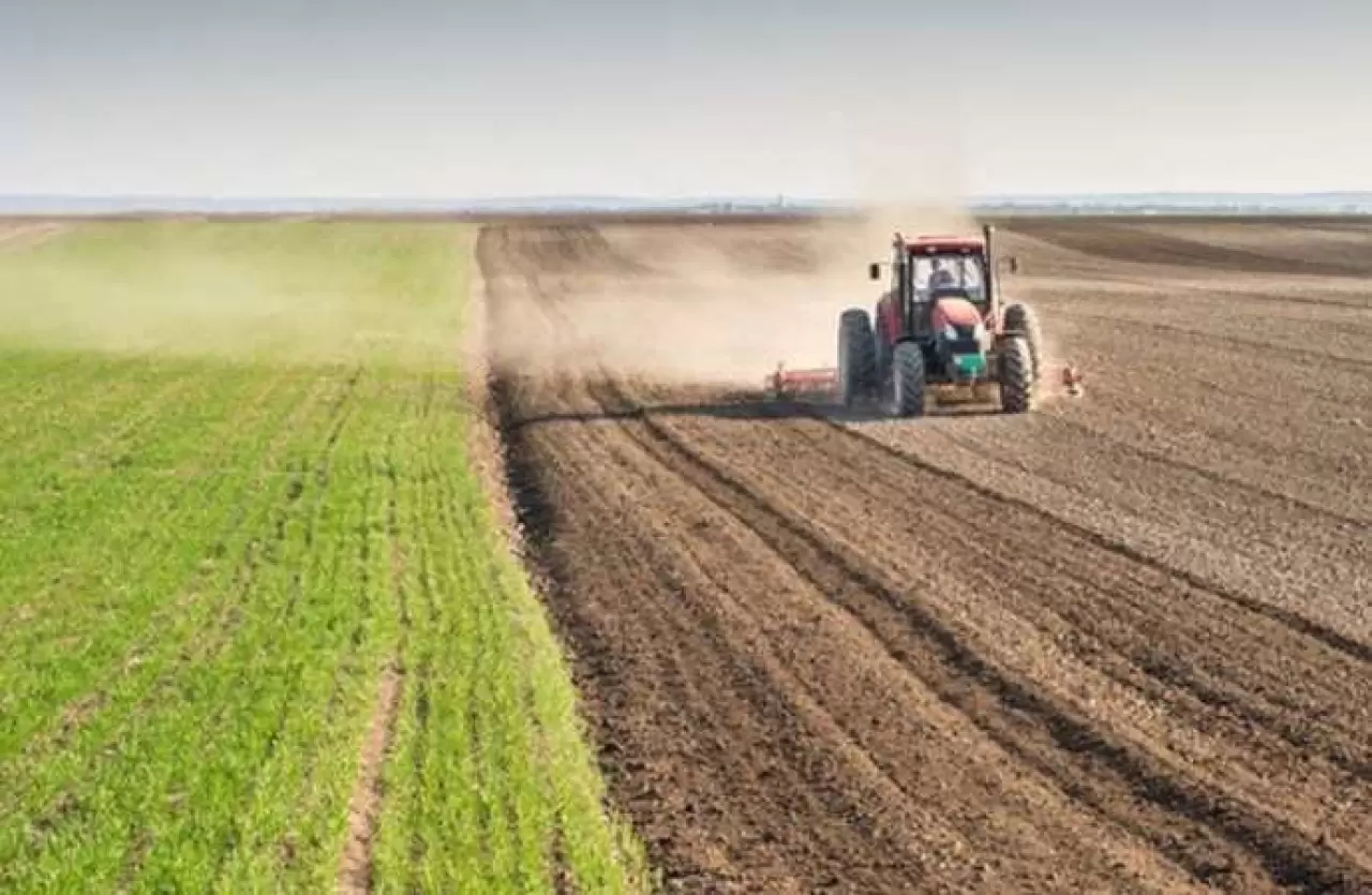 İşlenmeyen Tarım Arazileri İçin Yeni Düzenleme - Bedri Yılmaz